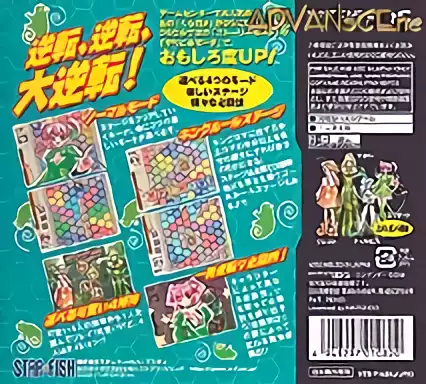 Image n° 2 - boxback : KuruKuru Chameleon DS